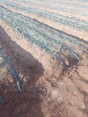 Plumbing and Dripline Installation