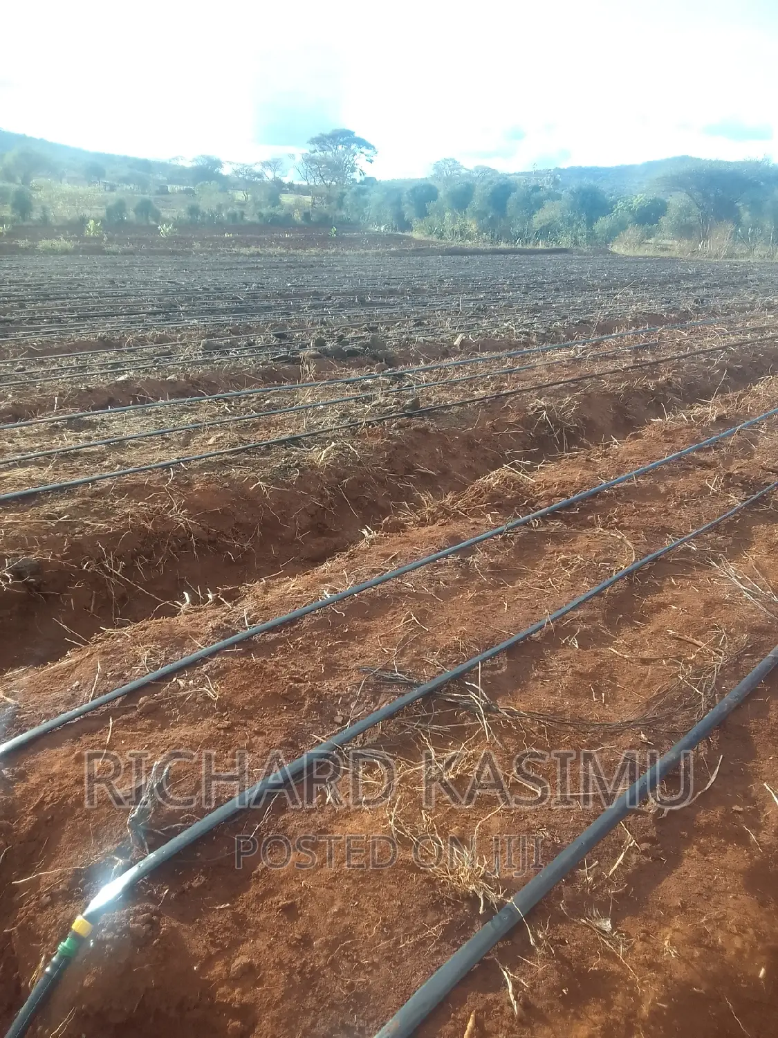 Plumbing and Dripline Installation