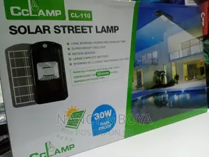 30w Solar Street Lamp Cl-110