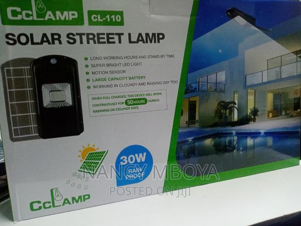 30w Solar Street Lamp Cl-110 - thumbnail 4