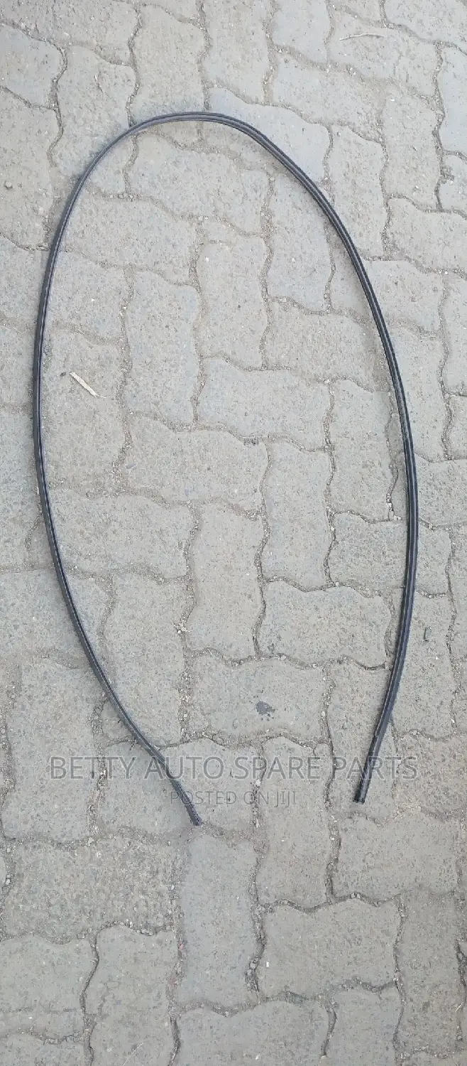 Toyota IST Roof Moulding