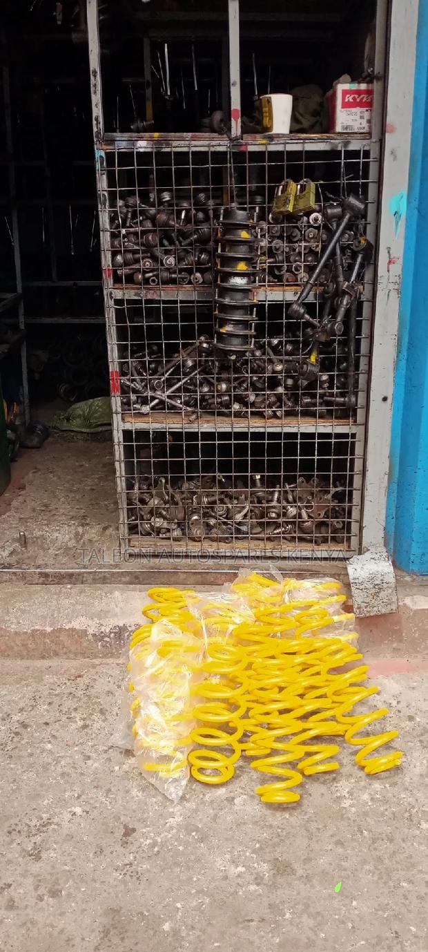 Probox Monroe Rear Heavy Duty Springs - main view