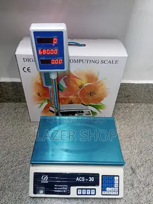 Digital Handle Scale 30kg