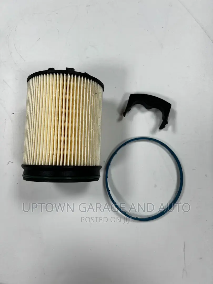 Genuine Ford Raptor And Bi-turbo Oil Filter