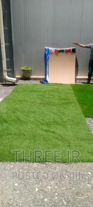 Artificial Green Carpet for Hire Available