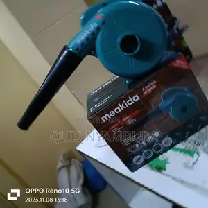 Electric Dust Blow/Dust Blower