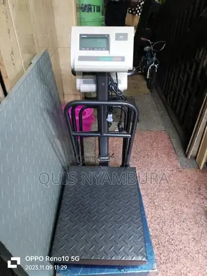 300kg Digital Weighing Scale A12