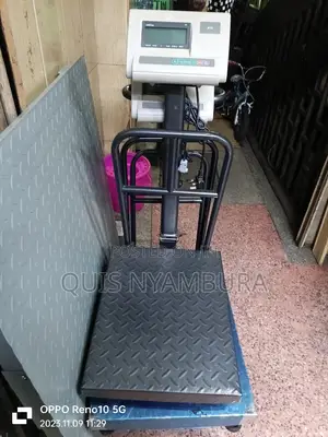 300kg Digital Weighing Scale A12