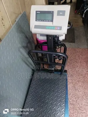 A12 Digital Scale 300kg