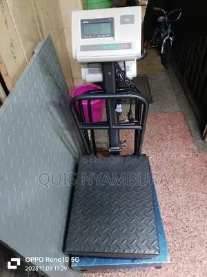 A12 Digital Scale 300kgs