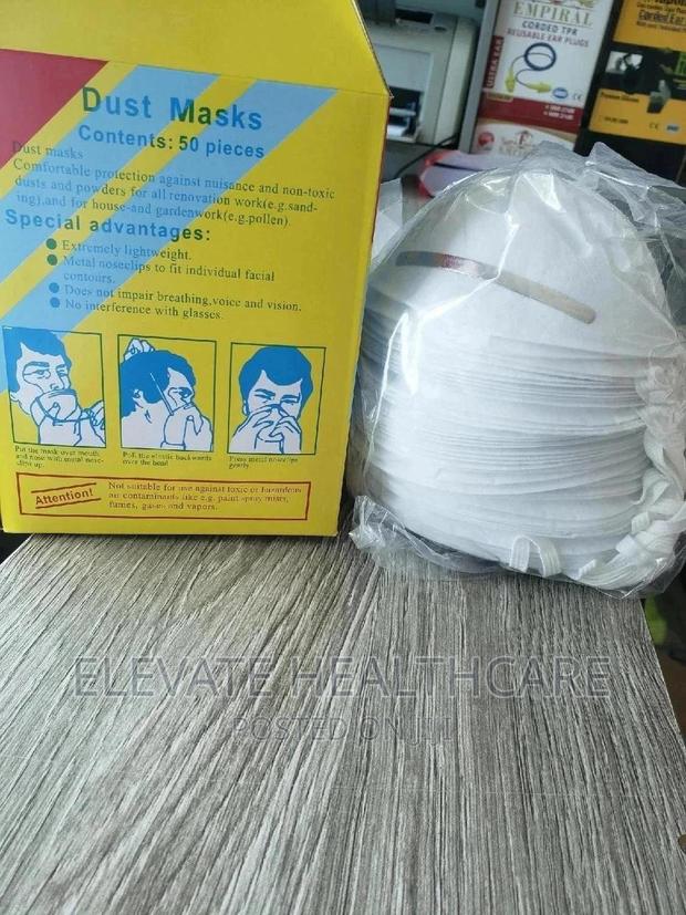 Disposable Dust Masks