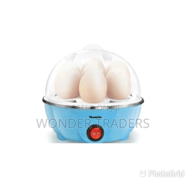 Electric Double Egg Boiler/Egg Steamer