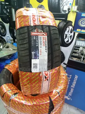 265/50r19 Roadx Tyre