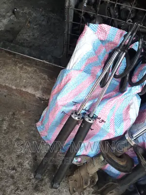 Toyota Filder Axio Vitz Belta Rear 4wd Shocks