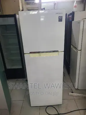 Samsung Digital Inverter Fridge. Power Saving Fridge
