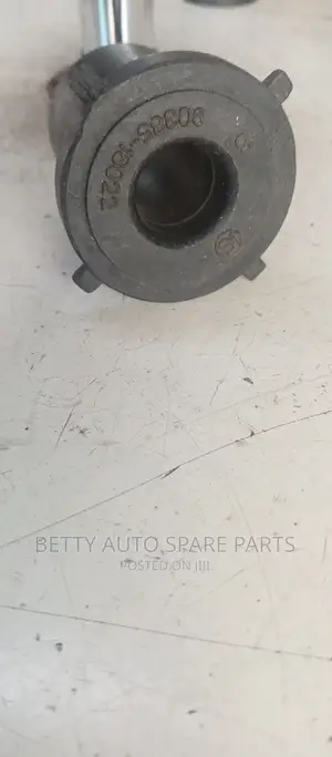 Toyota Land Cruiser Pring Bushes