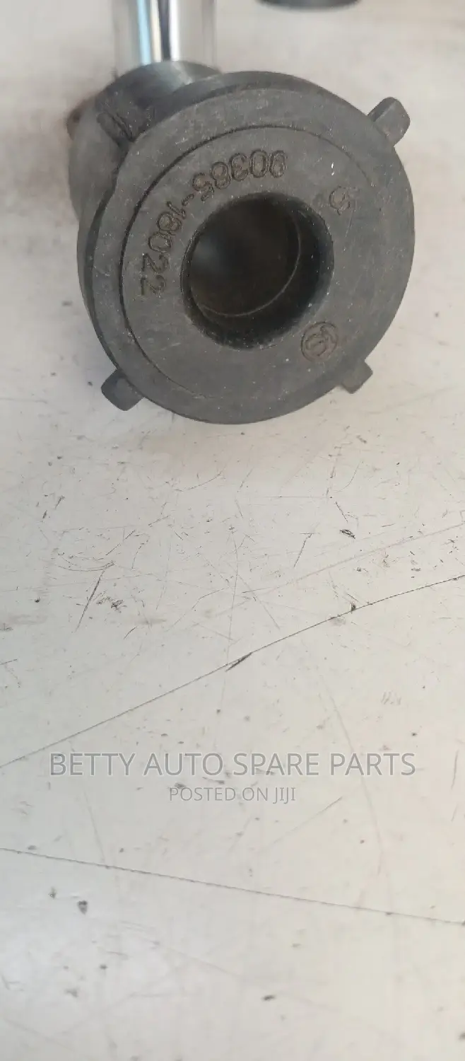 Toyota Land Cruiser Pring Bushes