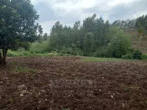 1/2 Acre Matasia,Kajiado (Barabara Mpya) (With Title Deed)