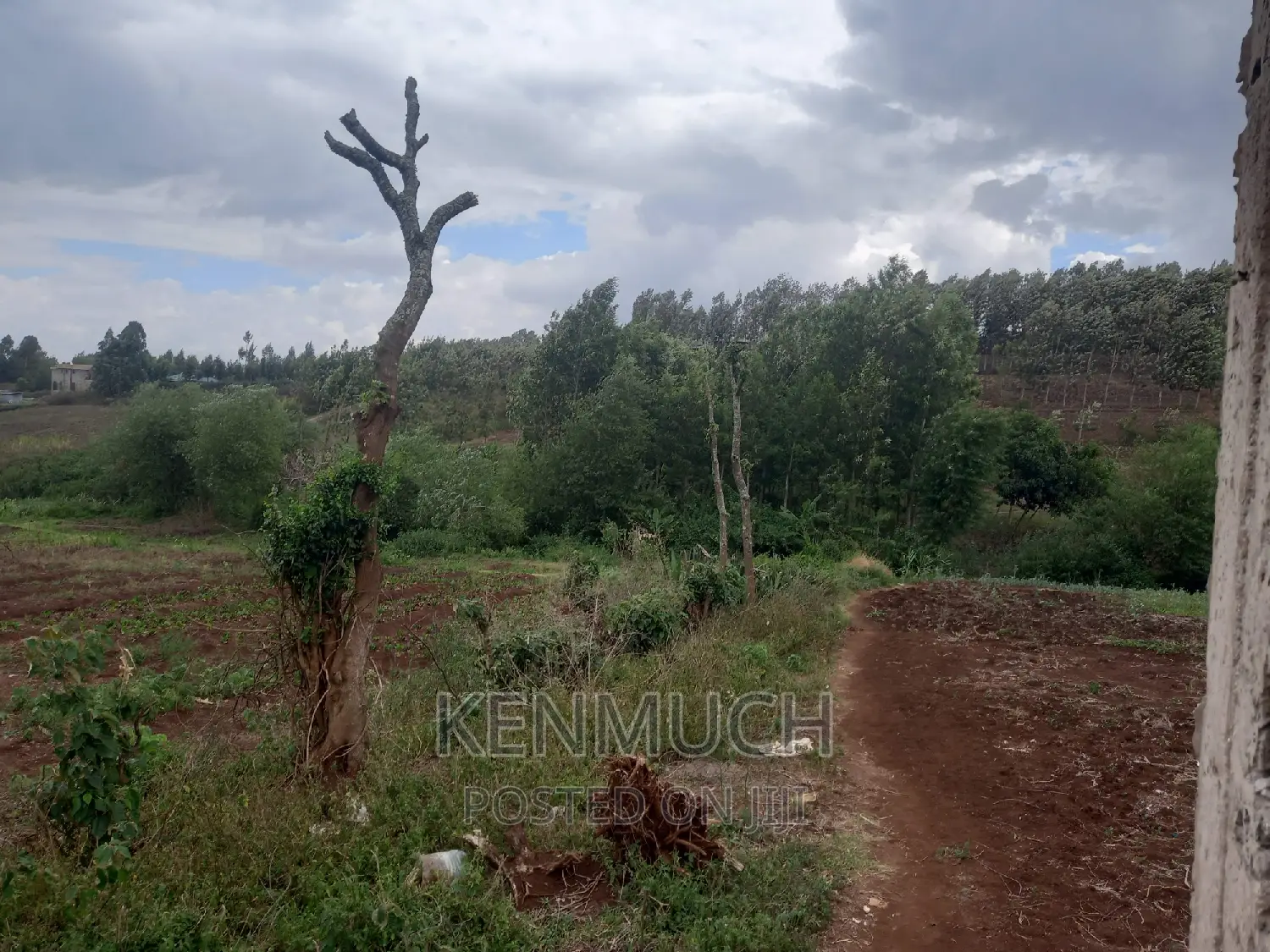 1/2 Acre Matasia,Kajiado (Barabara Mpya) (With Title Deed)