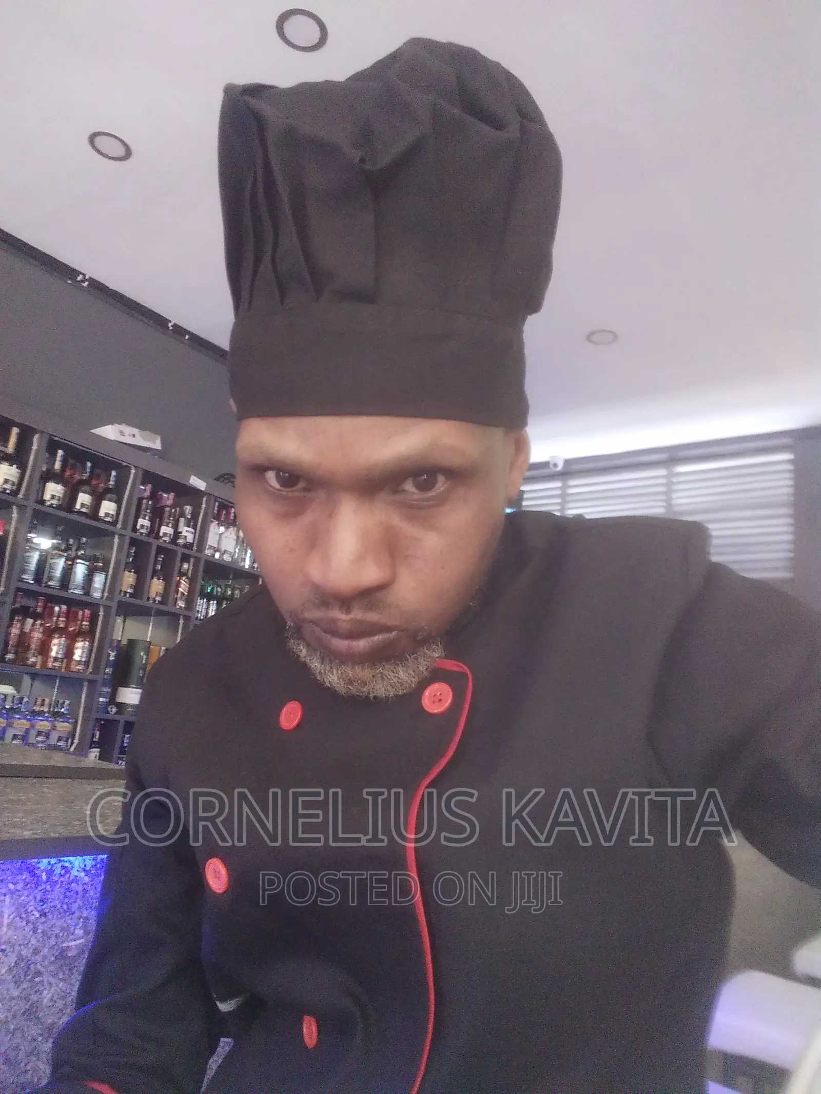 Looking for a Chef Job
