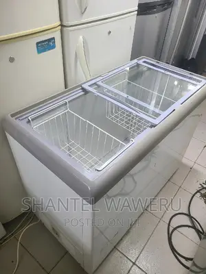 Display Freezer on Sale