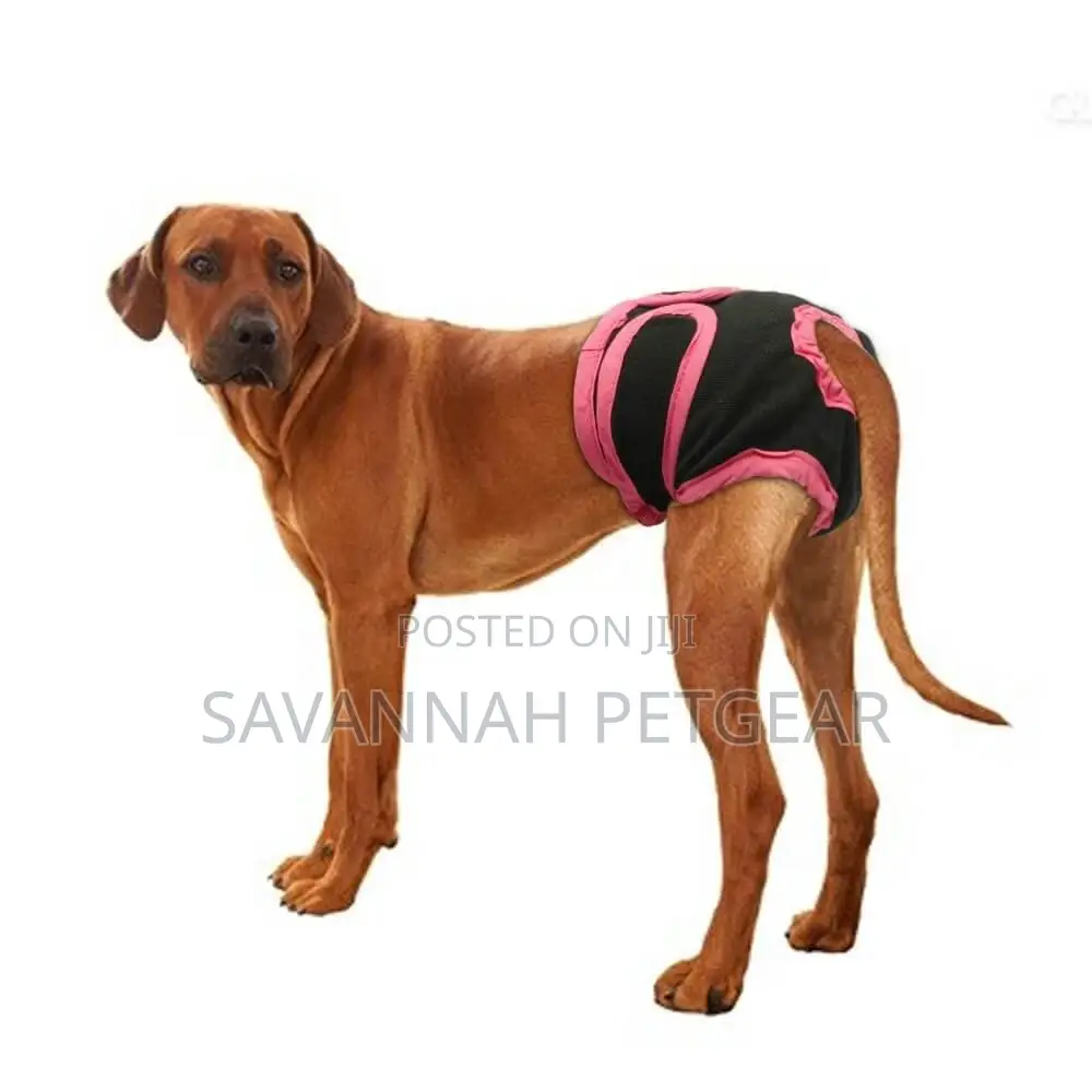 Washable Female Dog Diapers Physiological Panties