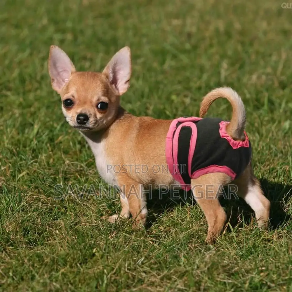 Washable Female Dog Diapers Physiological Panties