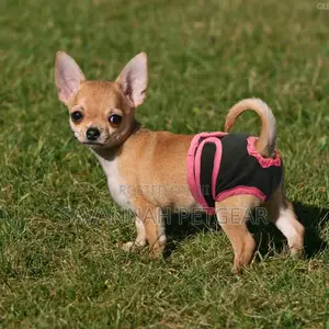 Washable Female Dog Diapers Physiological Panties