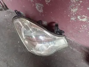 Nissan Slphy Zenon 2010