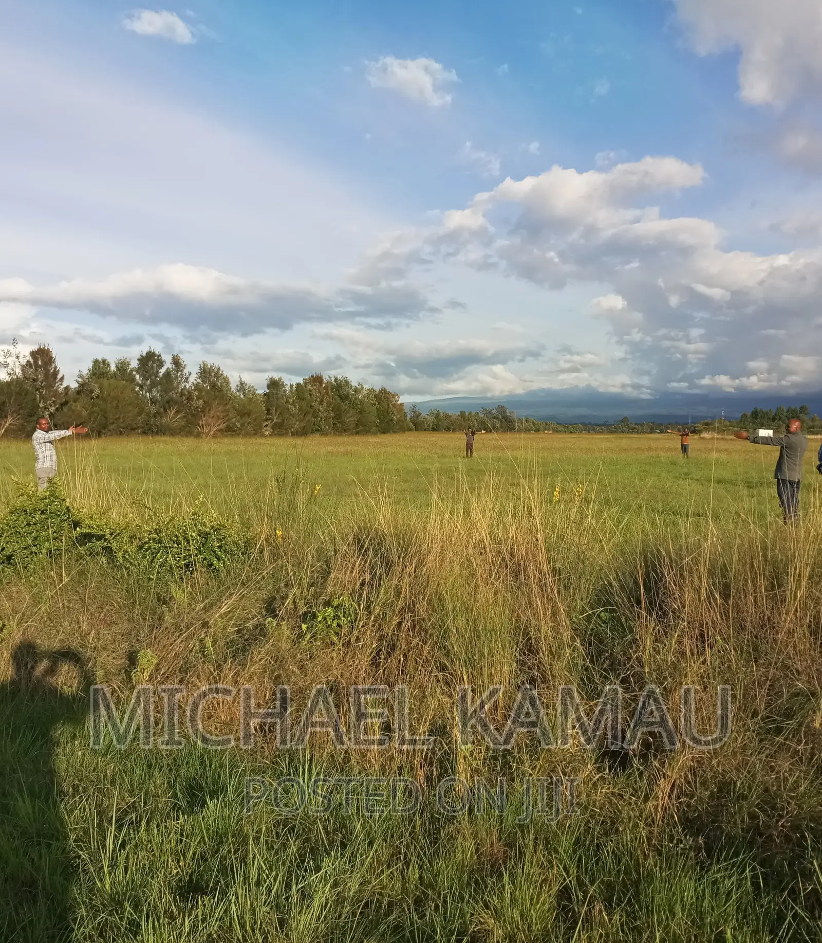 Commercial Plots for Sale