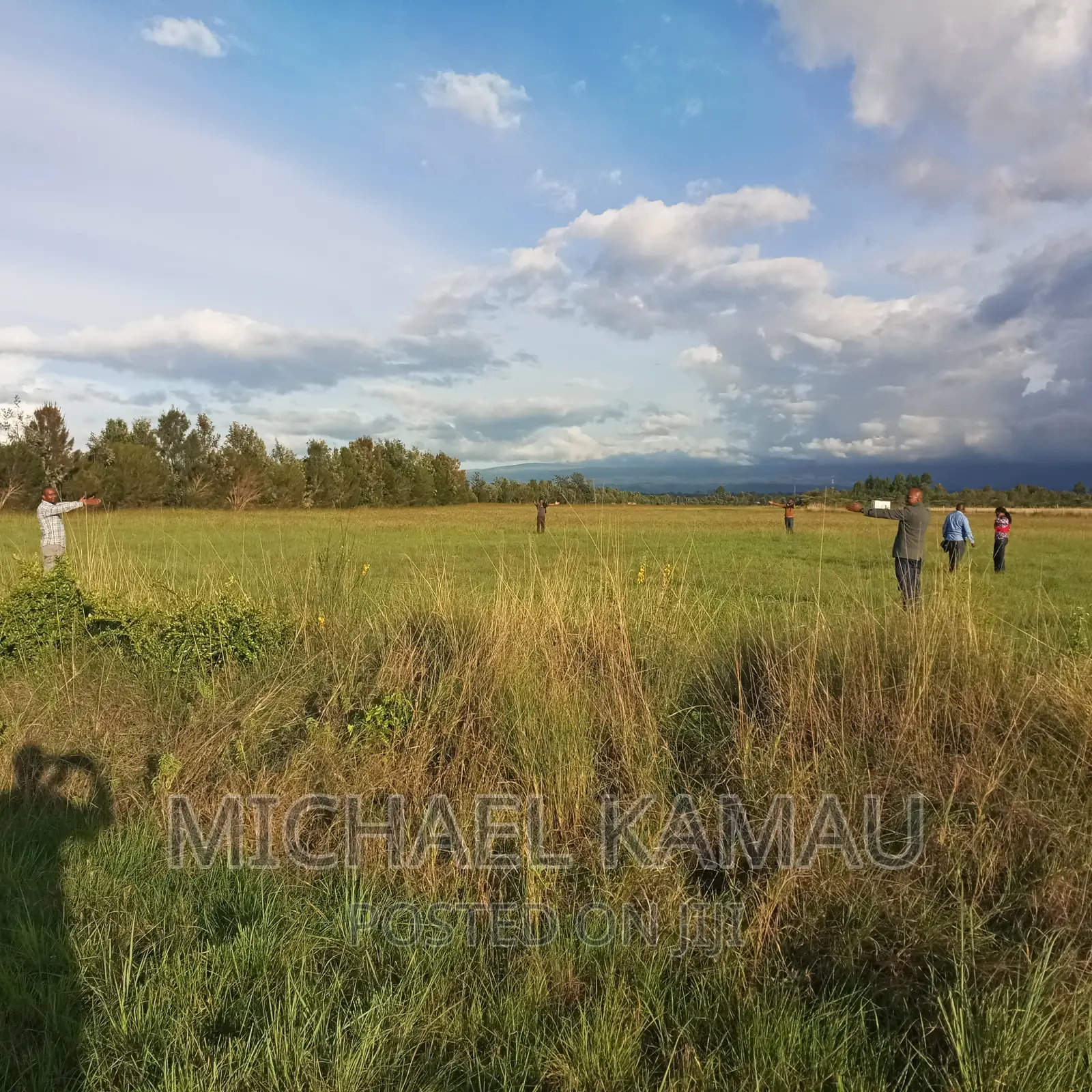 Commercial Plots for Sale