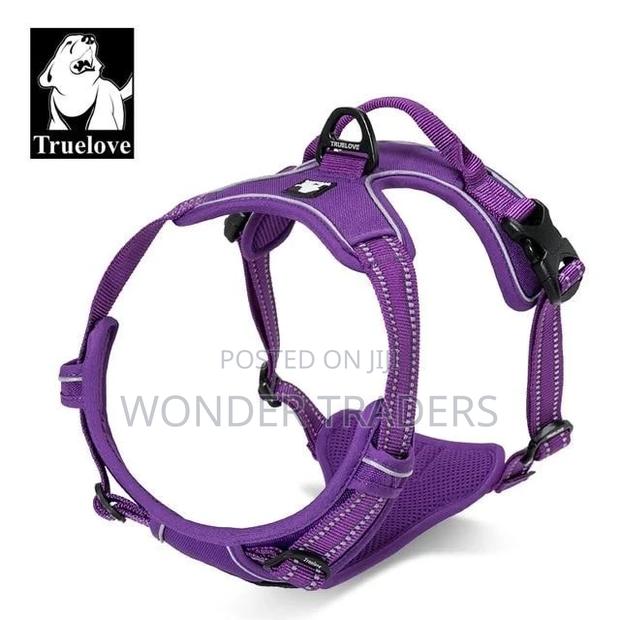 Best Quality Chiwawa Dog Leash - main view
