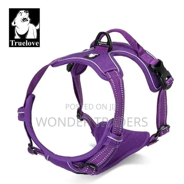 Best Quality Chiwawa Dog Leash