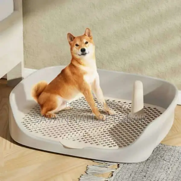 Portable Dog Toilet Training Pad - 48*37*13cm
