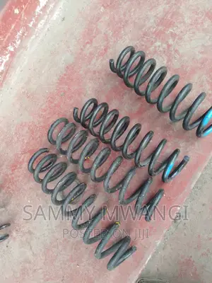 Passat Heavy Duty Coil Springs  I