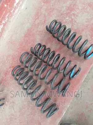 Passat Heavy Duty Coil Springs  I