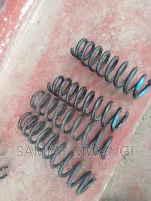 BMW Rear Heavy Duty Springs  