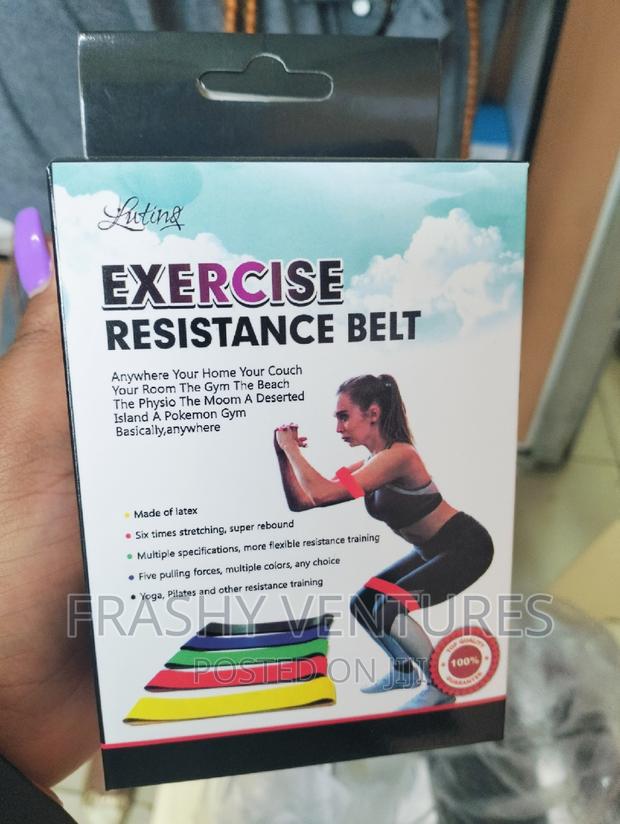 Home Gym Resistance Belt - main view