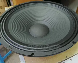 Clearance Sale 15 Inch Naked Speaker