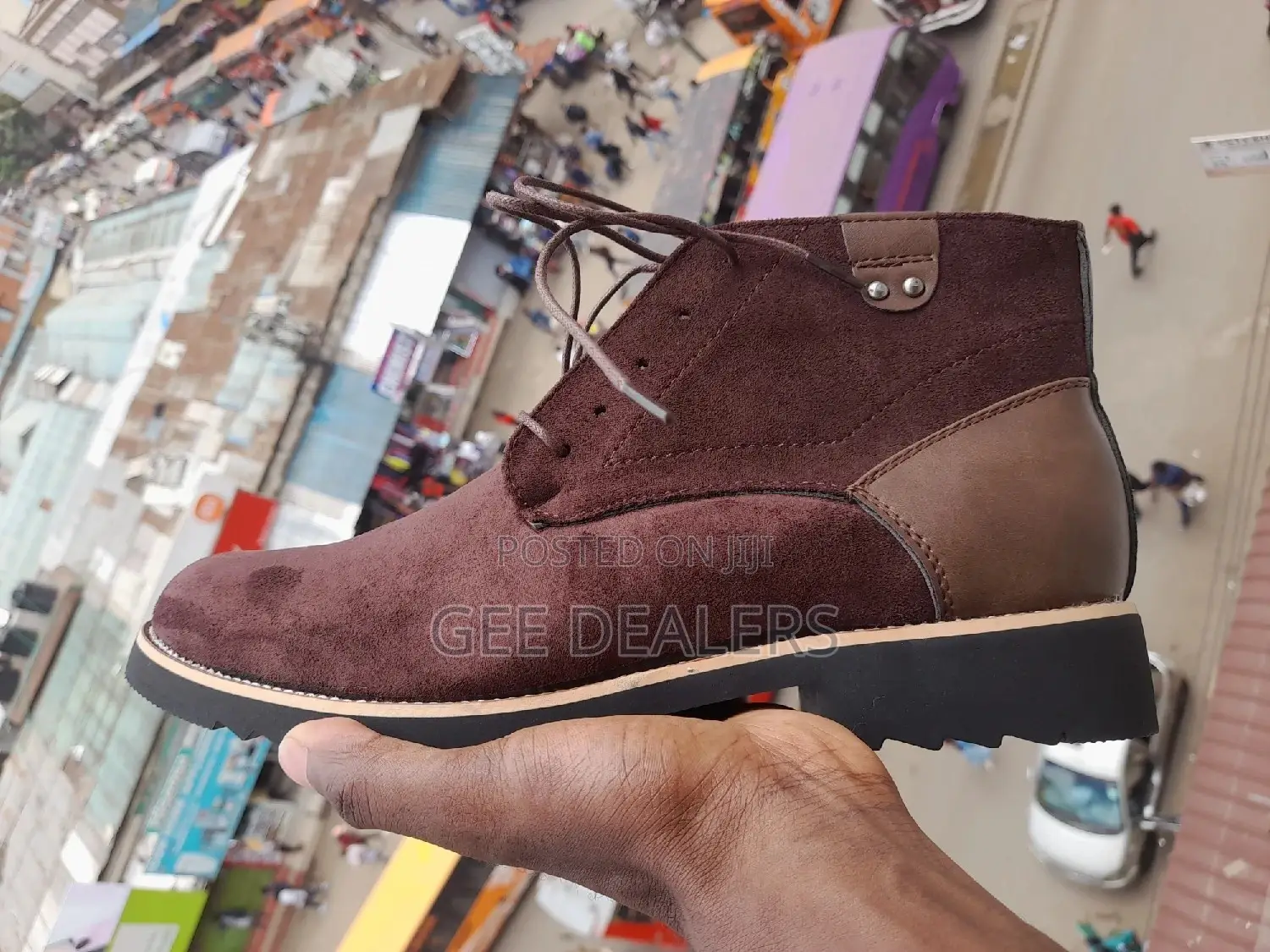 Cacatua Official Suede Chelsea Boots