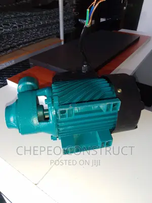 Dayliff Commercial Use DDP 60 - 0.5HP Booster Water Pump.