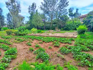 Thome One, Prime 1/2 Acre Plot