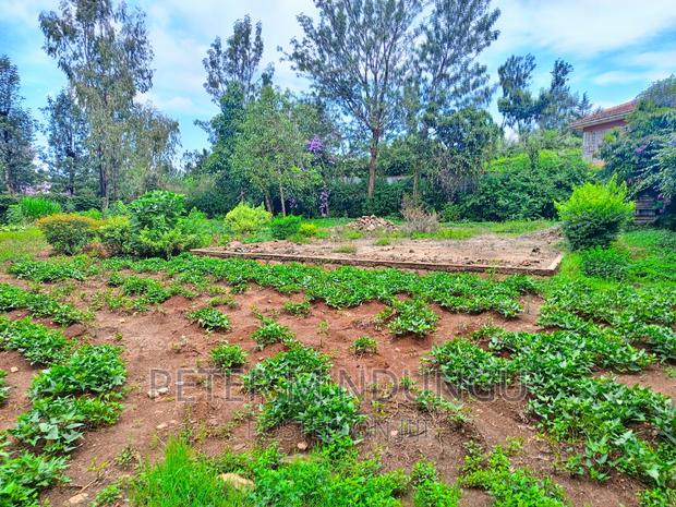 Thome One, Prime 1/2 Acre Plot - thumbnail 2