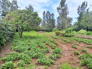 Thome One, Prime 1/2 Acre Plot