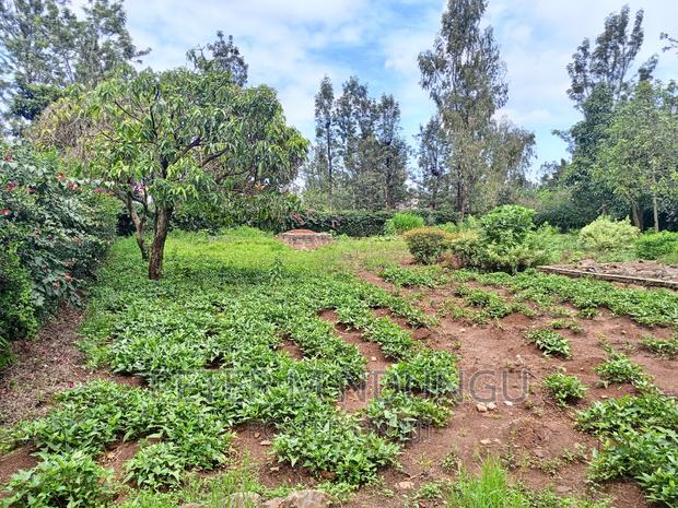 Thome One, Prime 1/2 Acre Plot - thumbnail 3