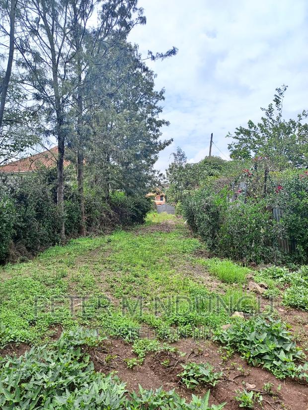 Thome One, Prime 1/2 Acre Plot - thumbnail 4