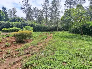 Thome One, Prime 1/2 Acre Plot