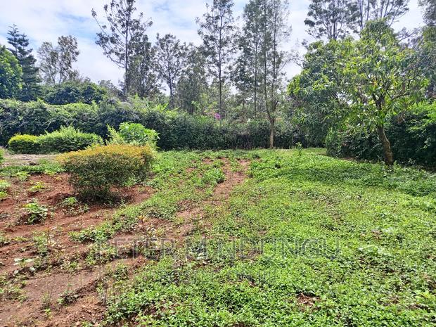 Thome One, Prime 1/2 Acre Plot - thumbnail 5