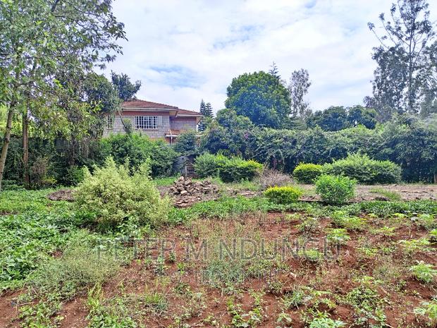 Thome One, Prime 1/2 Acre Plot - thumbnail 6