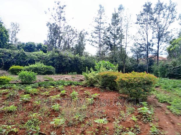 Thome One, Prime 1/2 Acre Plot - thumbnail 8